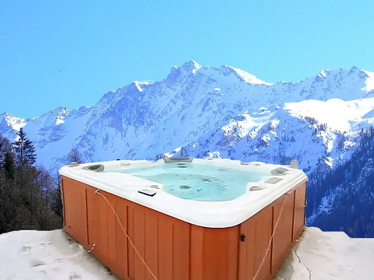 New And Very Comfortable Chalet With Many Facilities Peisey-Nancroix